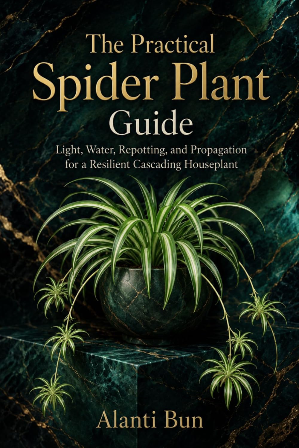 The Practical Spider Plant Guide: Light, Water, Repotting, and Propagation for a Resilient Cascading Houseplant