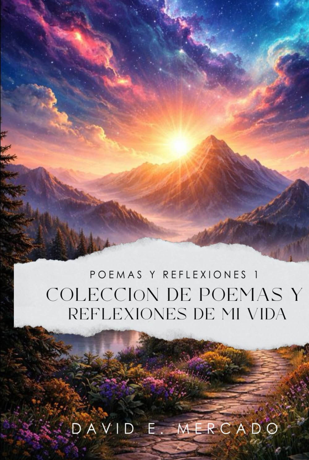Poemas y Reflexiones: Colección de Poemas y Reflexiones de mi vida