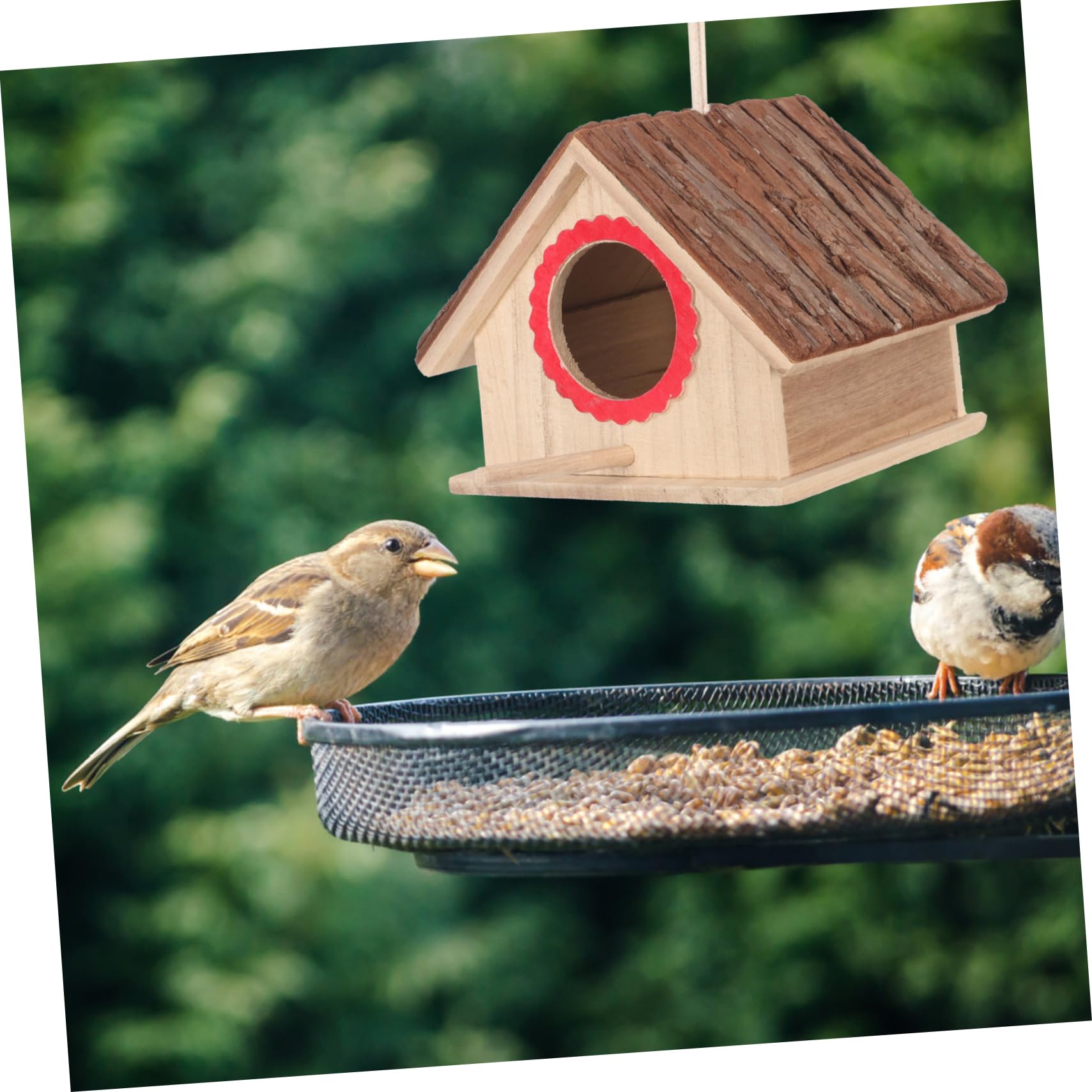 VANZACK 3piezas Casa De Pájaros De Madera Natural para Jardín Exterior para Aves Refugio Seguro para Gorrión y Periquitos Diseño Rústico y para Patio y