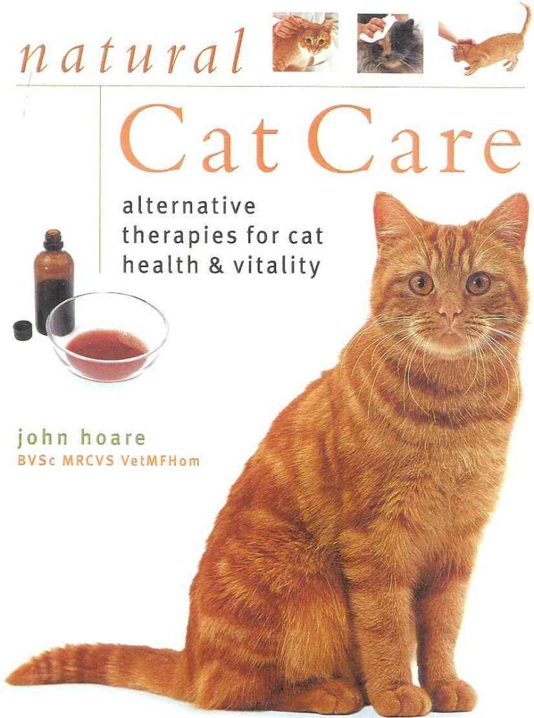 Natural Cat Care Lorenz Books