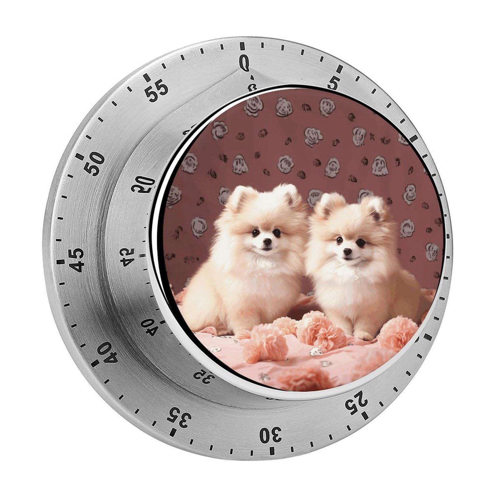 Pomeranians Puppies and Point Mechanical Kitchen Timer, Magnetic Stainless Steel Countdown Timer, Loud Alarm Cooking Timer for Baking, Cooking, Fitness, Classroom, No Battery Needed