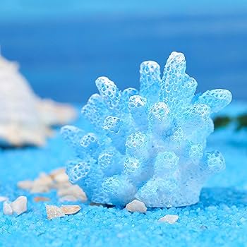 水槽　珊瑚礁 sddefault.jpg