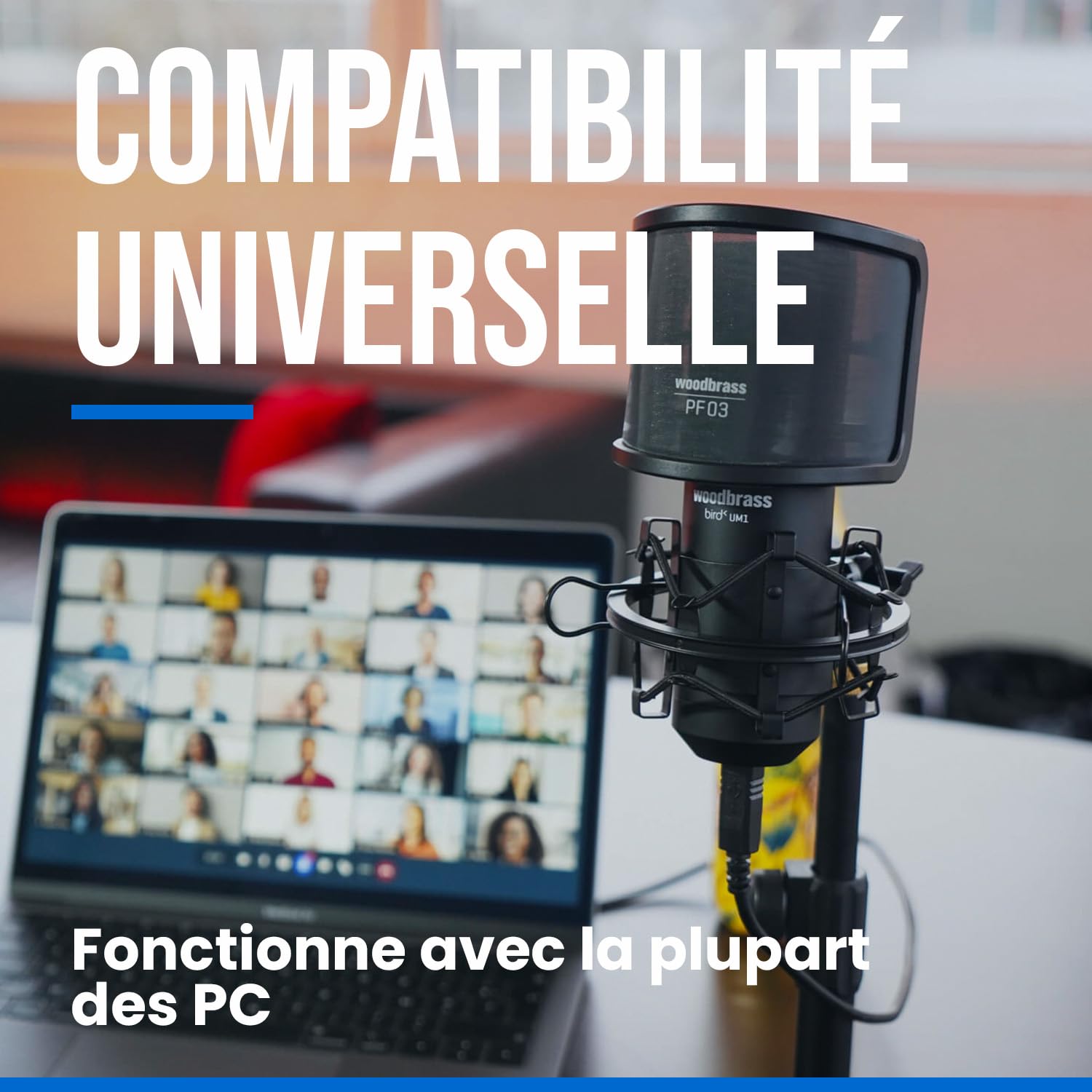 Bird Woodbrass UM1 Noir - Microphone USB Cardioïde à Condensateur PC et Mac pour Broadcast et Enregistrement Streaming, Podcasting, Conférence, Home Studio Mao, Voix Off