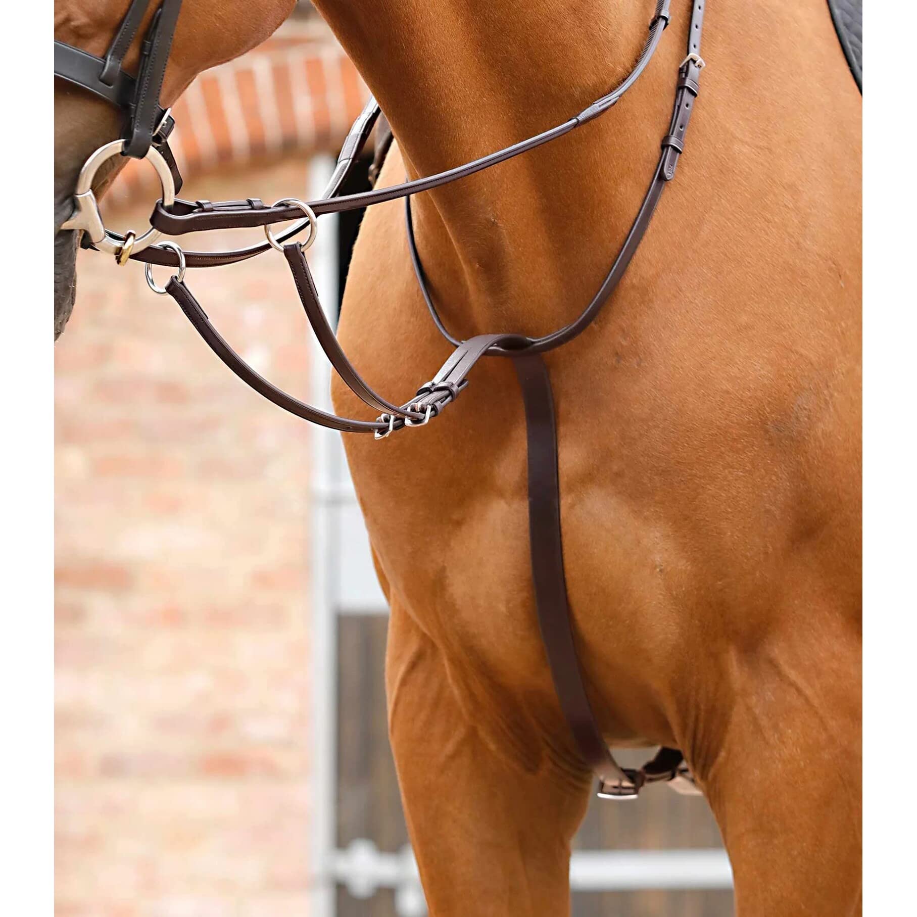 Premier Equine Martingala da Corsa Regolabile Santadi