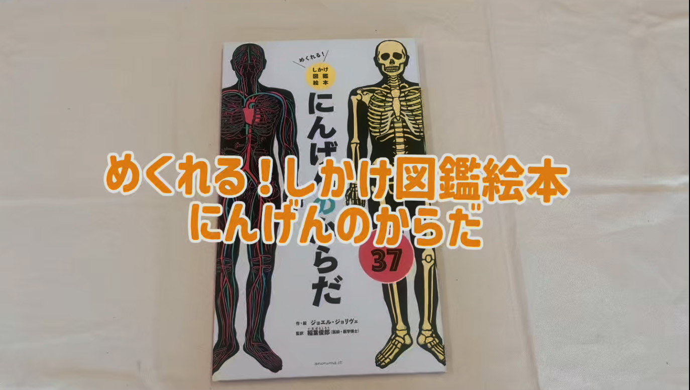 Amazon.co.jp: めくれる！しかけ図鑑絵本 にんげんのからだ : ジョエル