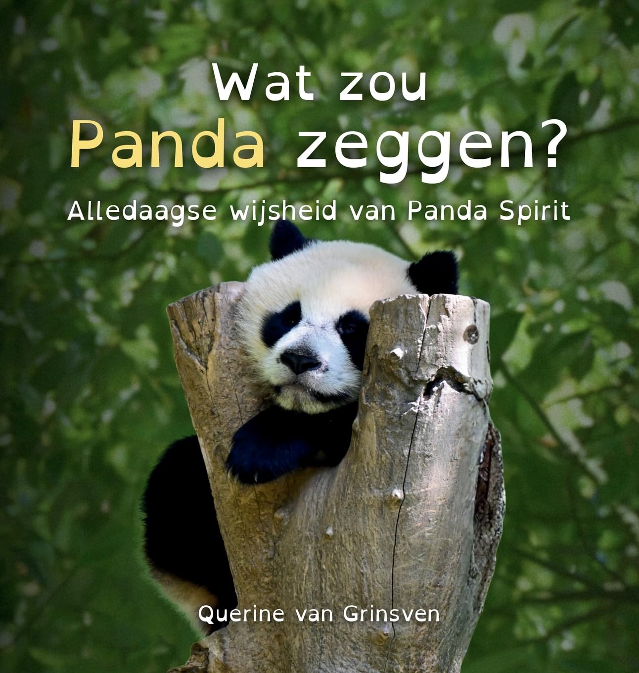 Wat zou Panda zeggen?: Alledaagse wijsheid van Panda Spirit: 1 (Wat Zou ... Zeggen?)