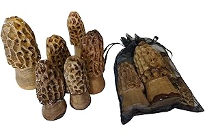 Morel Mushrooms for Sale - Wooden Hand-carved Set of 3