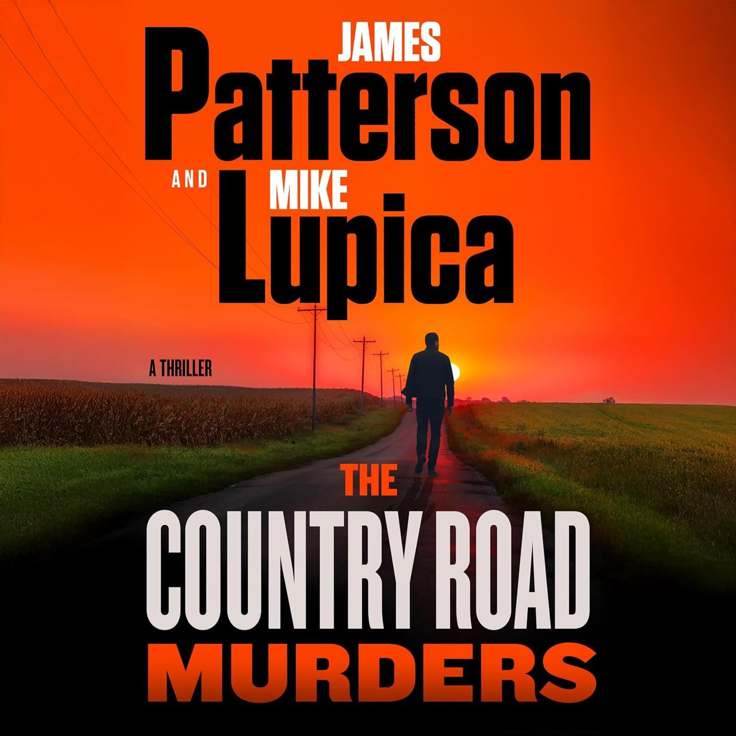 The Country Road Murders: A Thriller