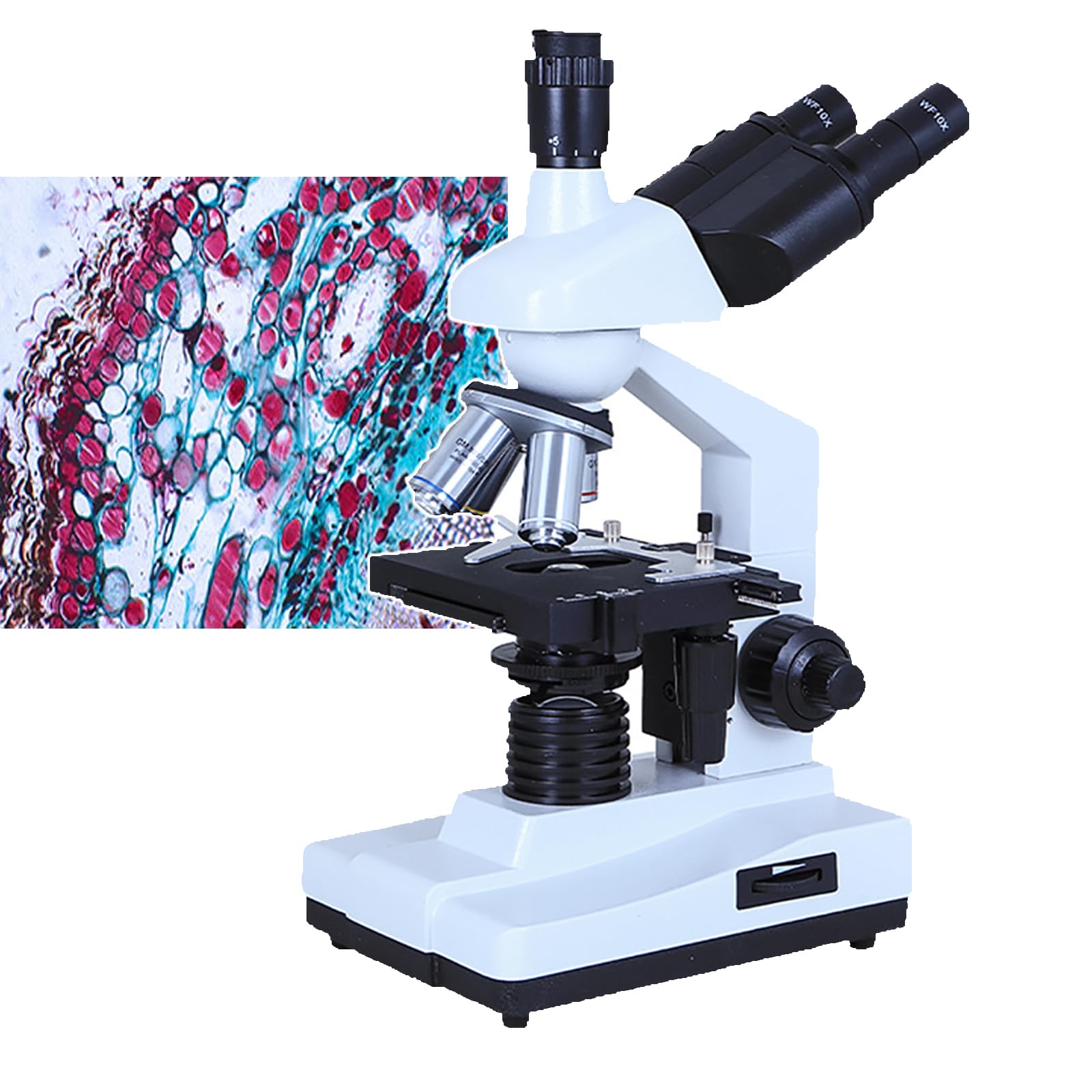 Microscope biologique trinoculaire composé 140X-1600X à double mise au point