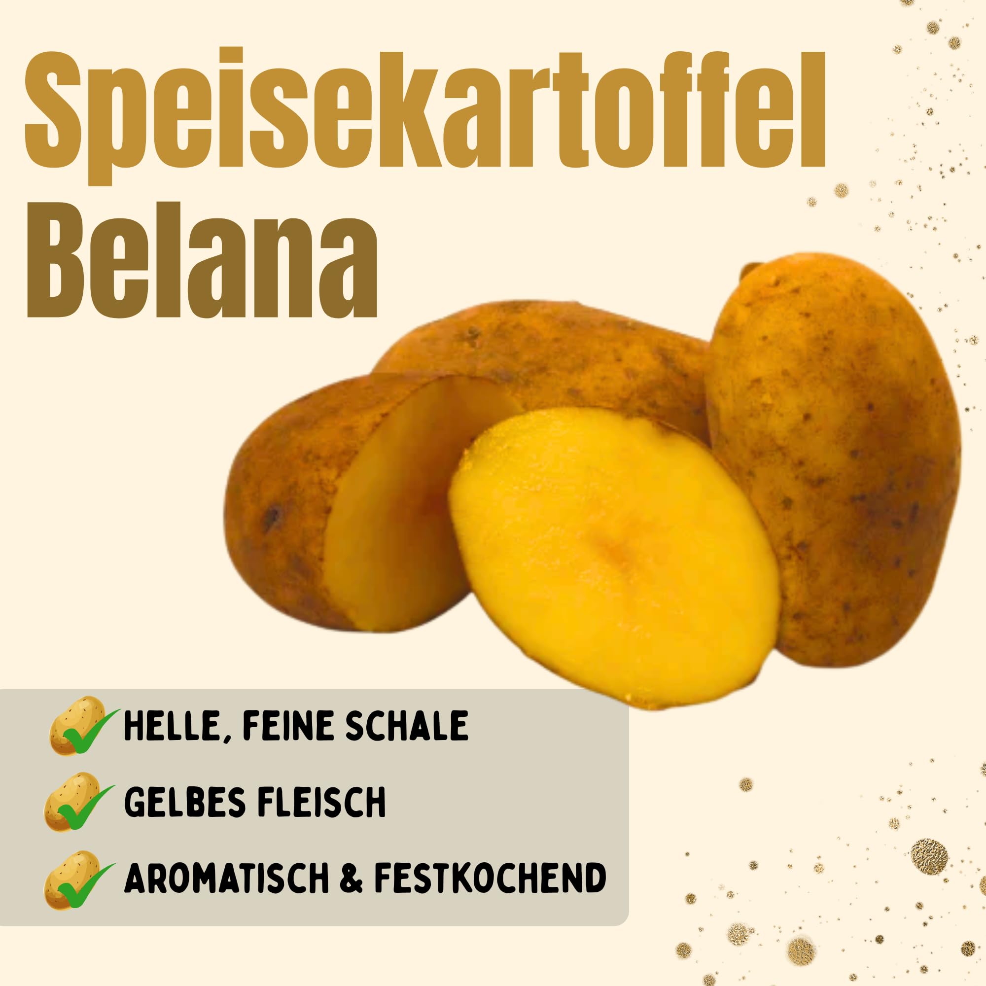Speisekartoffeln Belana 10kg | festkochend & gelbfleischig | Salzkartoffeln, Kartoffelsalat, Gratin, Ofen- u. Pellkartoffeln | sehr lagerfähige Einkellerkartoffel