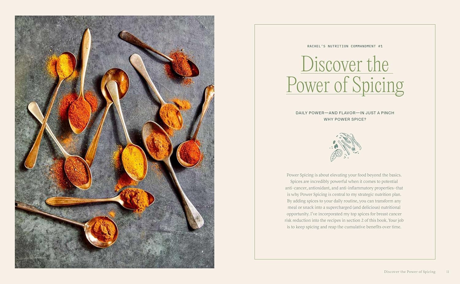 SpiceRack Cook Book Bundle: Nutrition Plan to Reduce Breast Cancer Risk & Manage Your Weight + 4 Organic Spice Blends - Rachel Beller Super Sumac, Morning Boost, Vegitude Power & Tex Mex