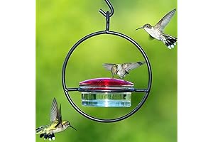 Hummingbird Slim Hummingbird Feeder: Bee-Proof Delight for Your Backyard Oasis