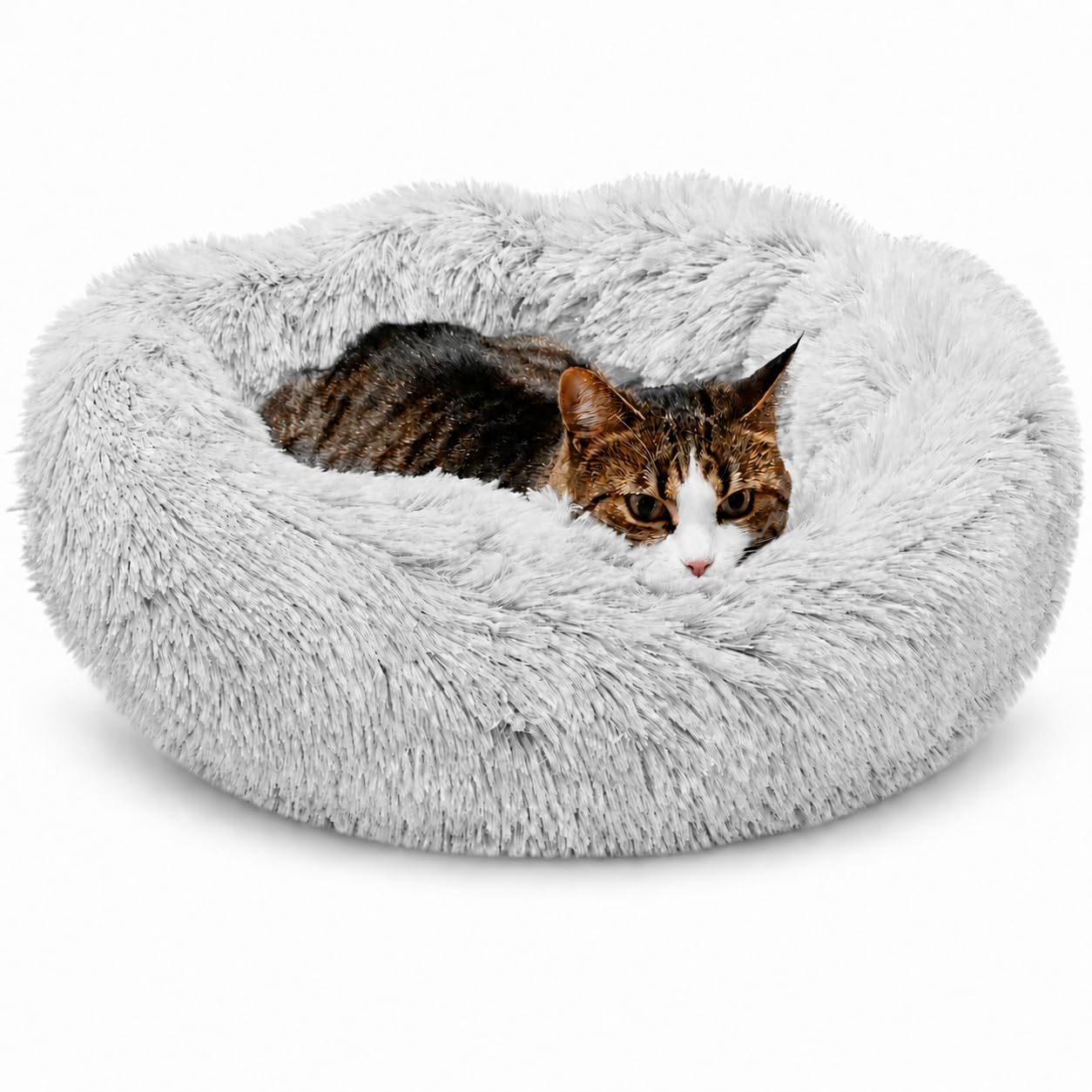 Whiskers & Friends Lit pour Chat d'intérieur Lavable, lit orthopédique Doux