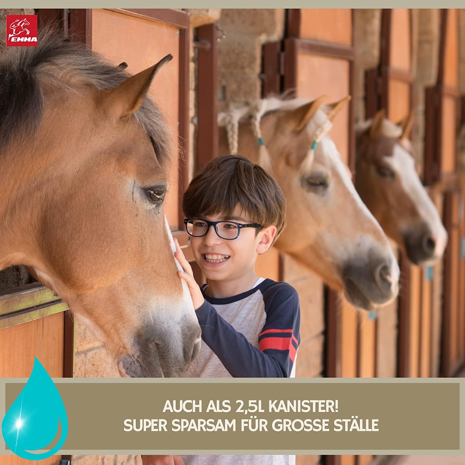 EMMA Shampoing pour chevaux I Kit d'entretien poney I Shampoing chevaux Fourrure Crinière Queue Rose & Parfum I Graisse de sabot pour chevaux rose I Baume pour sabots pour chevaux I Cadeau pour
