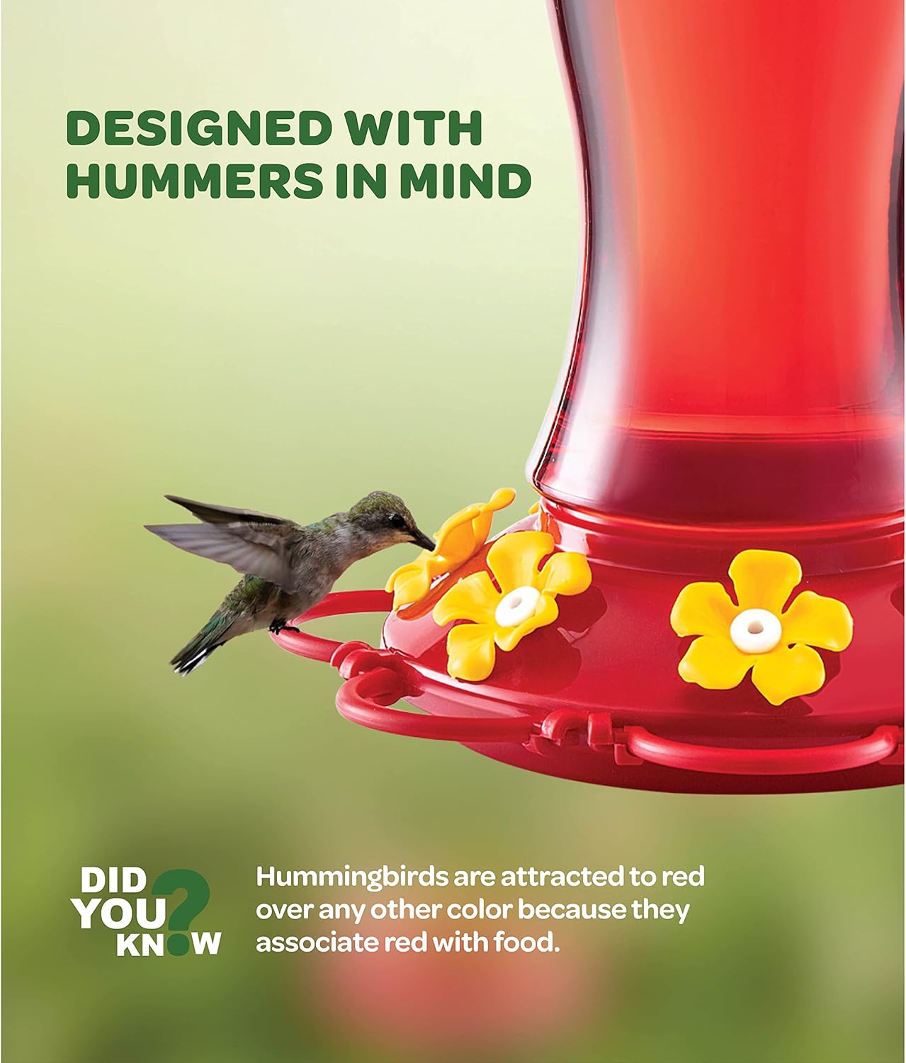 Hummingbird Feeder 20 oz [Set of 2] Glass Hummingbird Feeders for Outdoors, with Built-in Ant Guard - Circular Perch with 5 Feeding Ports - Wide Mouth for Easy Filling/2 Part Base for Easy Cleaning