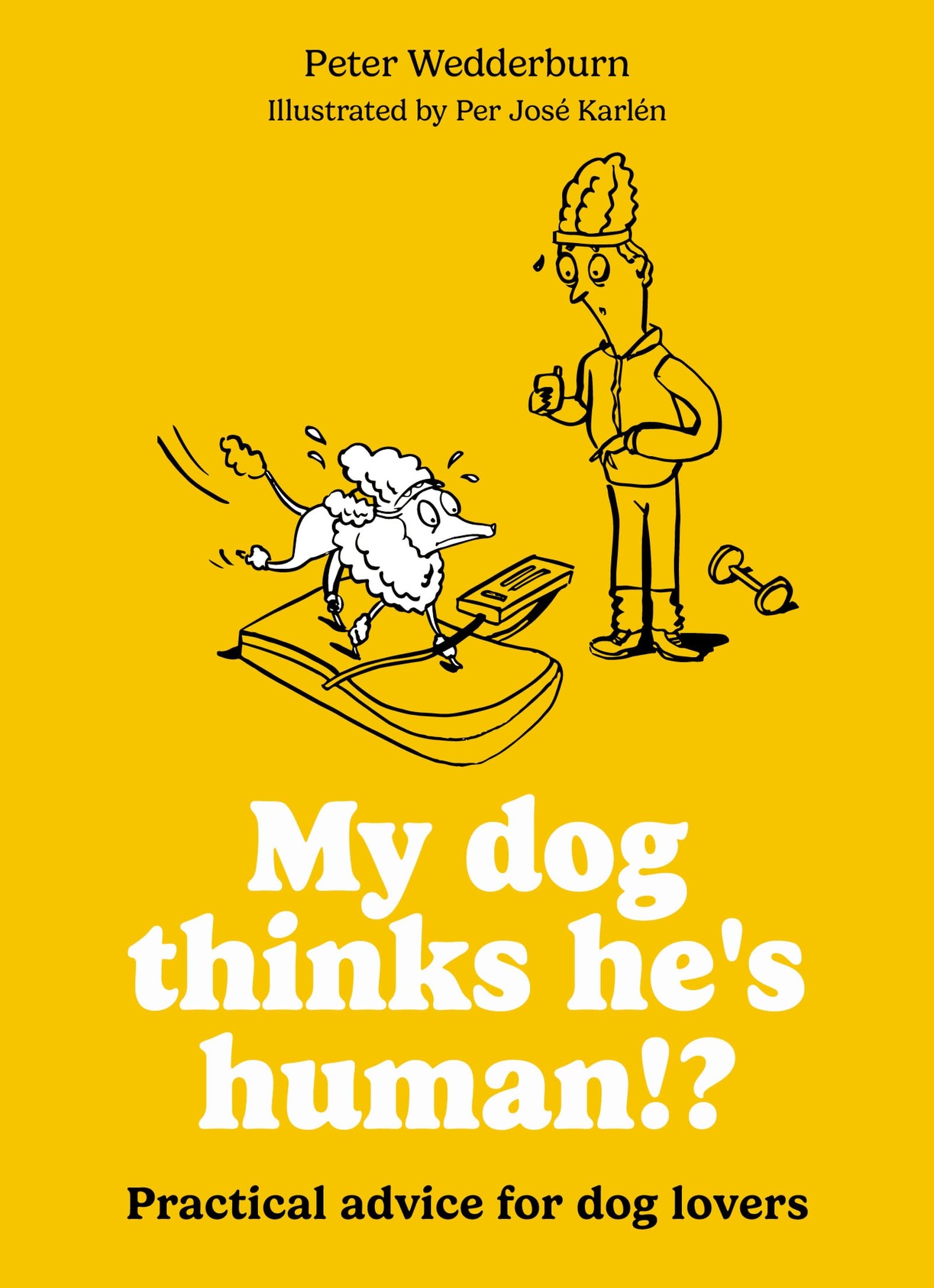 My dog thinks he's human!?: Practical advice for dog lovers
