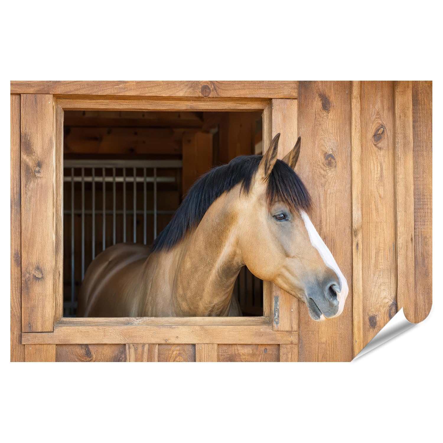 islandburner Poster mural de qualité supérieure - Portrait de cheval majestueux - Pour salon - Grand format