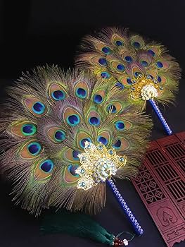 Amazon.co.jp: 華麗 孔雀風 団扇 うちわ 羽扇子 舞踊扇子 踊り 演舞扇