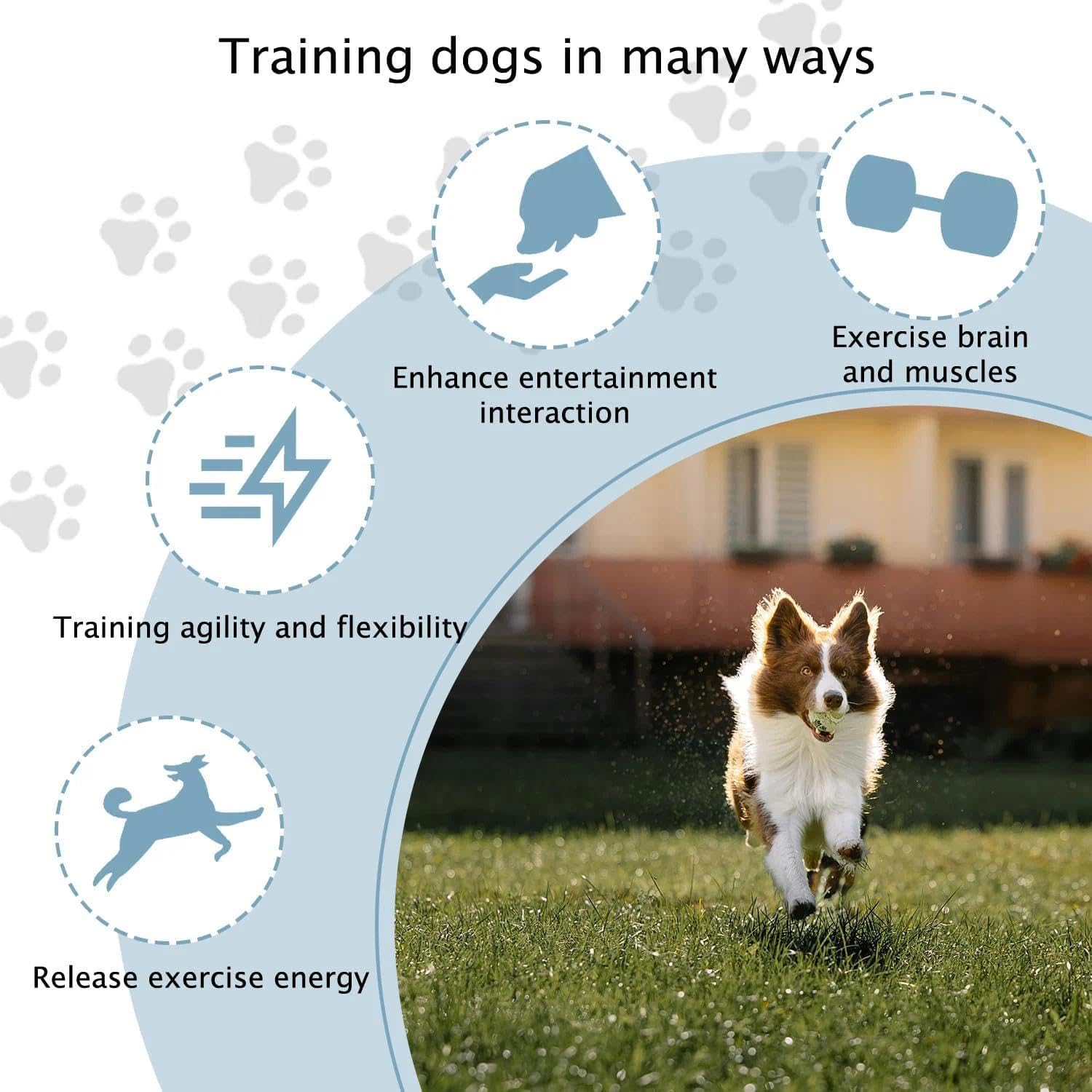 Sports Steckhürdenset 10 Kegel + 5 Stangen - Agility Hürden Für Hunde, Kinder & Pferde