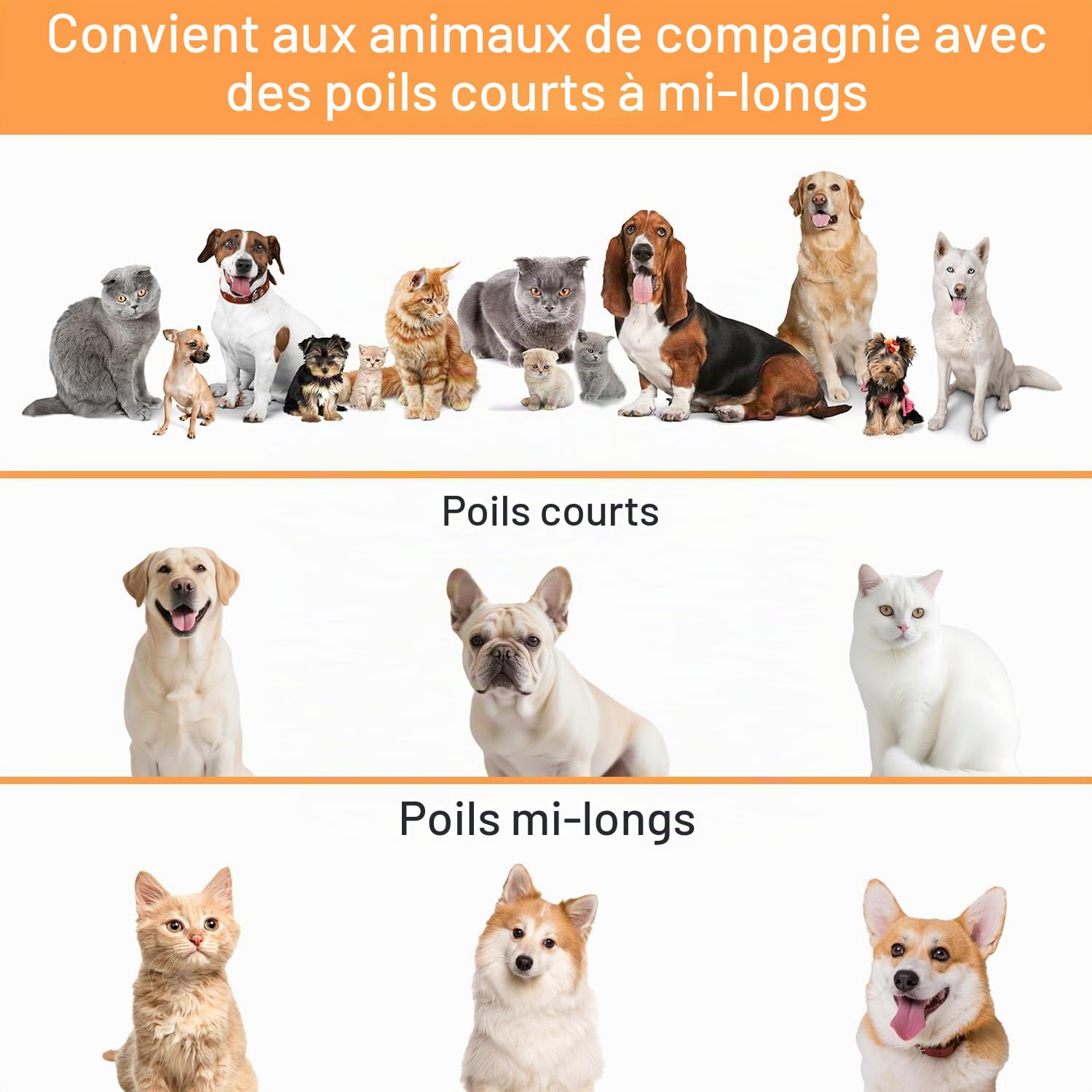 AIRROBO PG100 Kit de toilettage pour Chien avec aspirateur pour ramasser 99% des Poils d'animaux