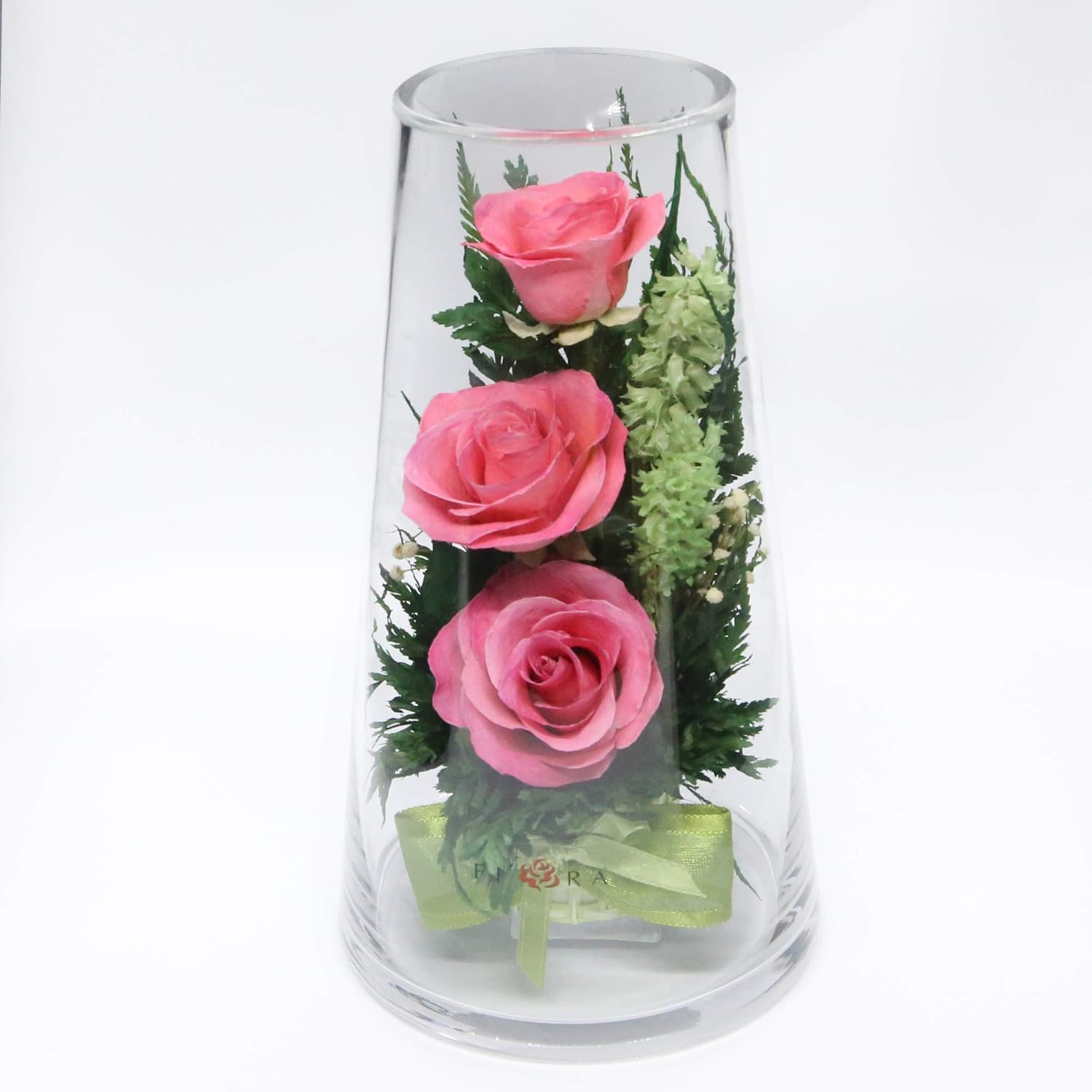 Fiora Flower | Long Lasting Roses in a Sealed Glass Vase | Fresh Cut Roses – Preserved Roses| Unique Present Gift (Medium Cylider)