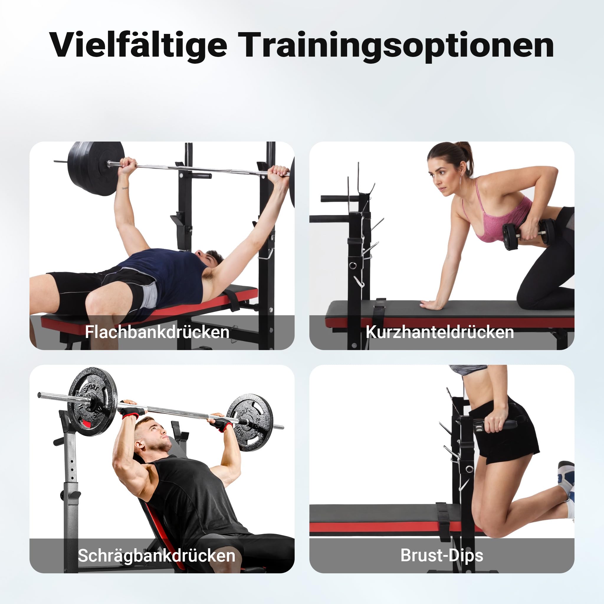 Wiltec Trainingsbank