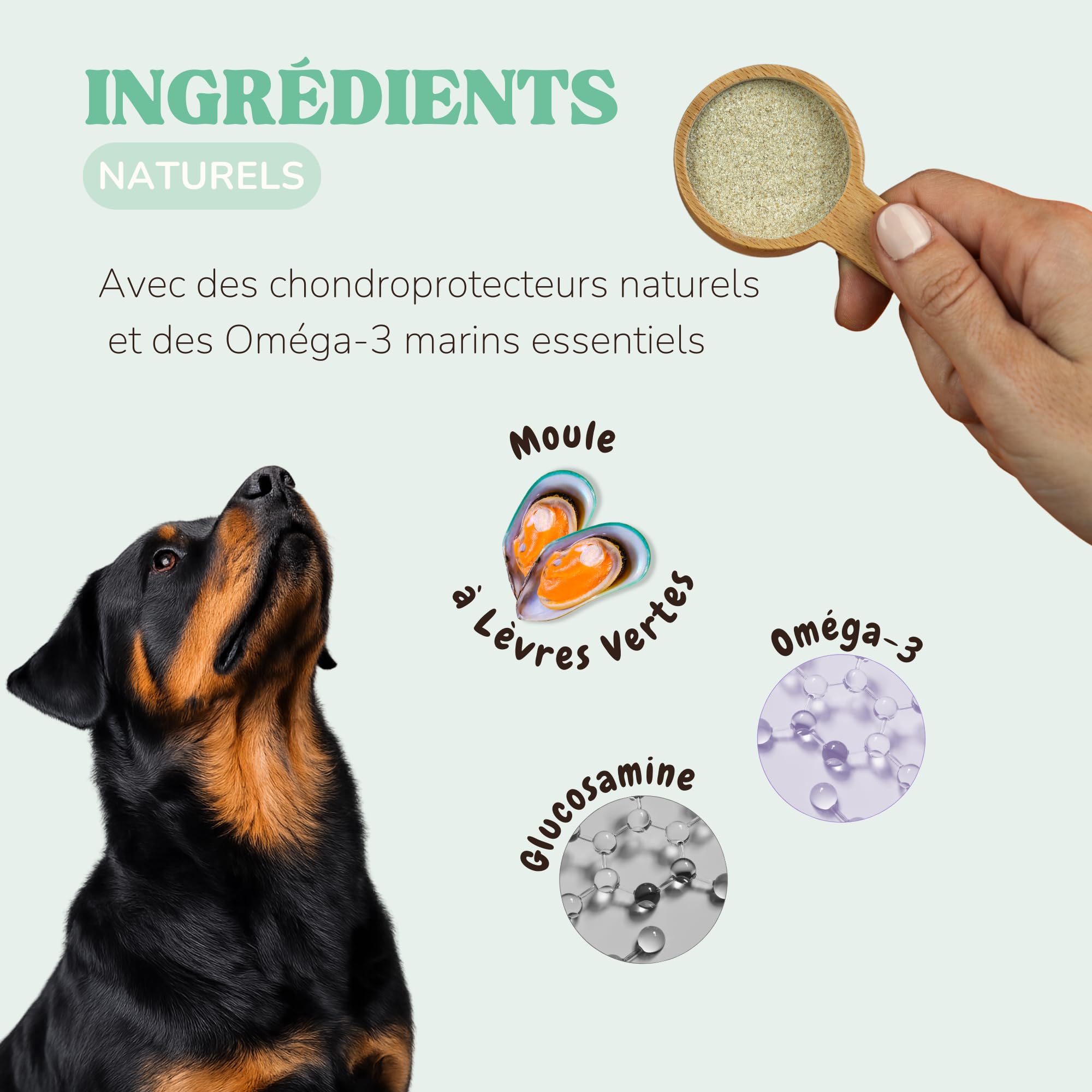 Poudre Moule Verte Chien et Chat pour Prévenir Arthrose Chien, Renforcer Articulations et Les Os avec Glucosamine et Omega 3, Complements Alimentaires Chiens pour Améliorer la Mobilité