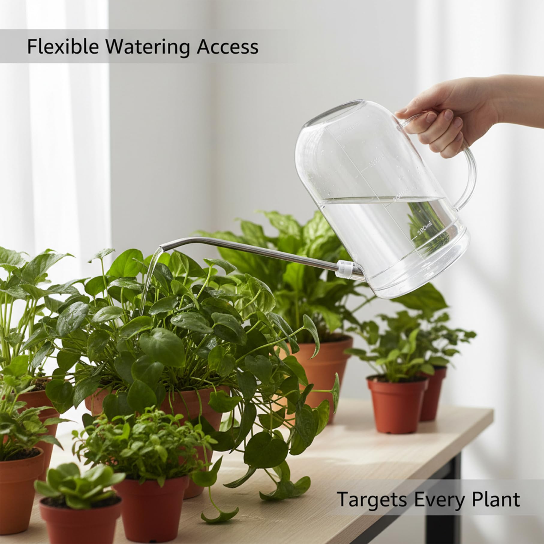 Regadera de Interior de 2 litros, regadera Transparente con Pico Largo de Acero Inoxidable, Mango y aspersor Desmontable para Plantas de Interior, balcón y jardín