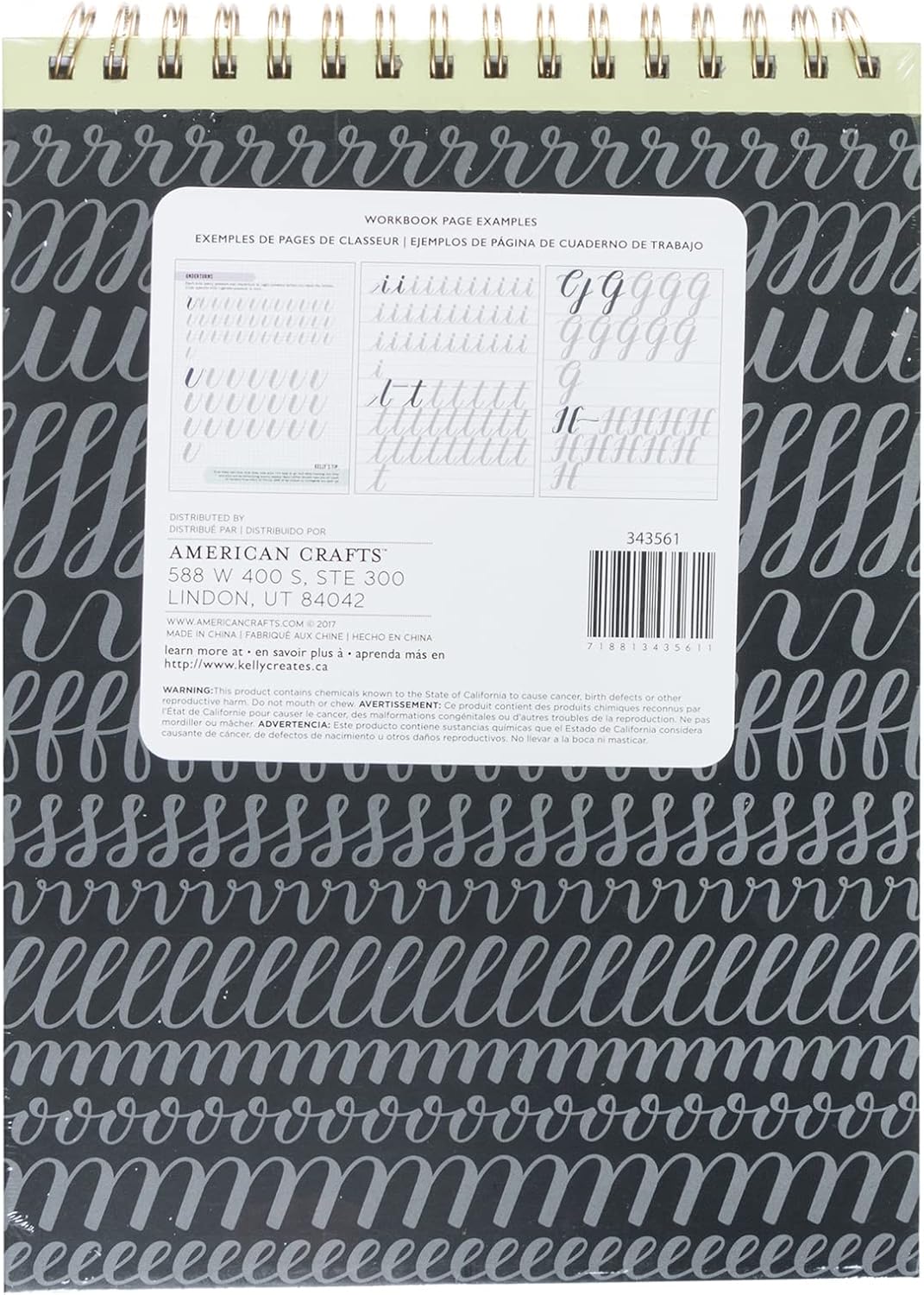 Kelly Creates Large Brush Workbook and Paper Pad, Calligraphy