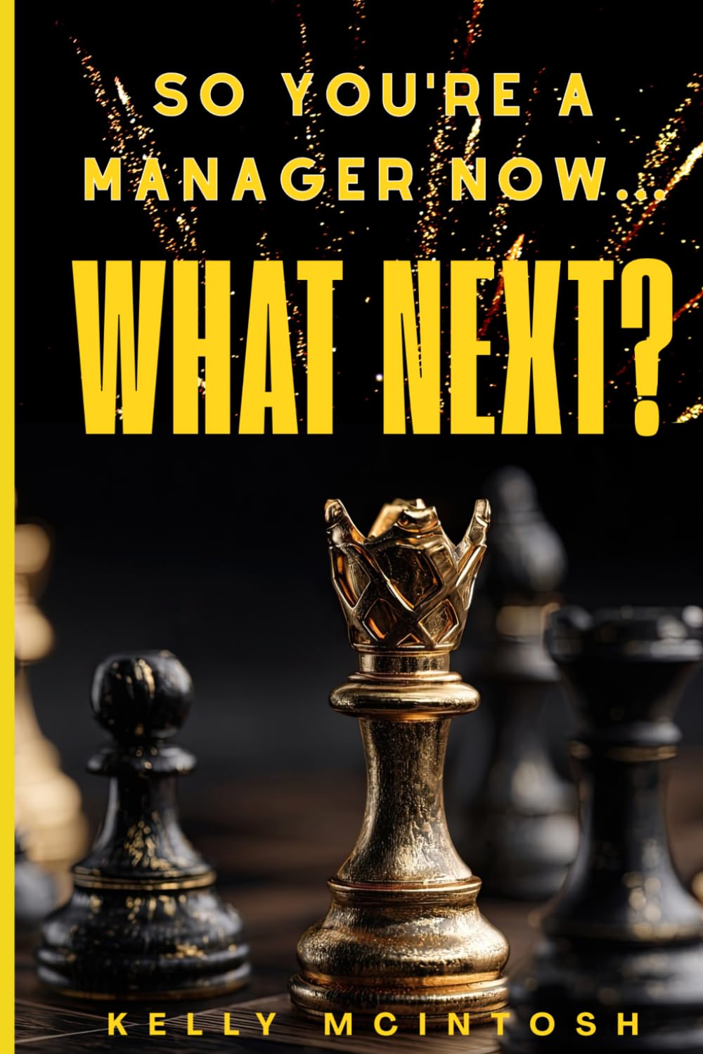 SO YOU'RE A MANAGER NOW...WHAT NEXT?