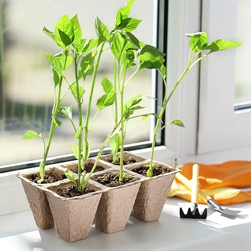 Miniatura 6 de 10 paquetes de bandejas de inicio de plántulas, 120 celdas, bandejas de germinación de semillas biodegradables, macetas de turba para plantas de