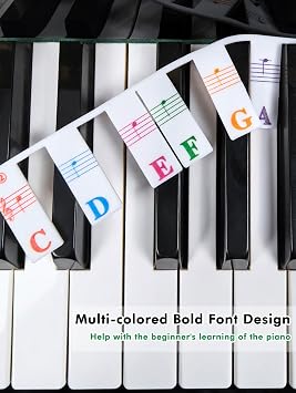Piano Notes Guide for Beginner, Removable Piano Keyboard Note Labels for Learning, 61-Key Standard Full-Size, Made of Silicone Rubber, No Need Stickers, Reusable and with Box(Colored)