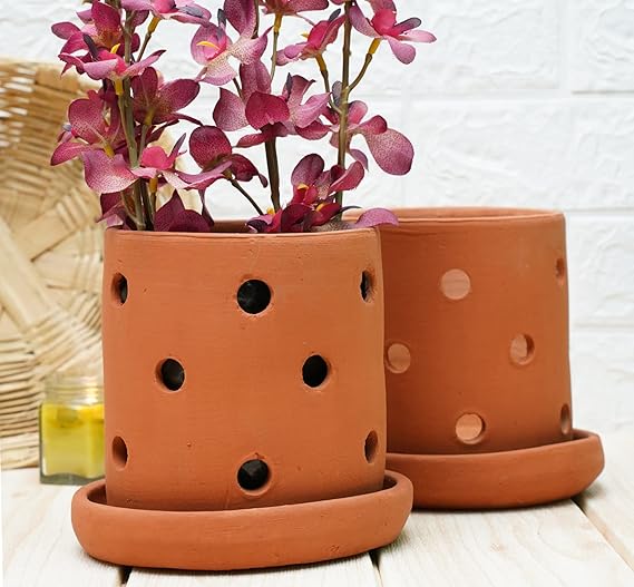 GOLD DUST Orchid Pots, Orchid Planter, Terracotta Pots for Plants, 6