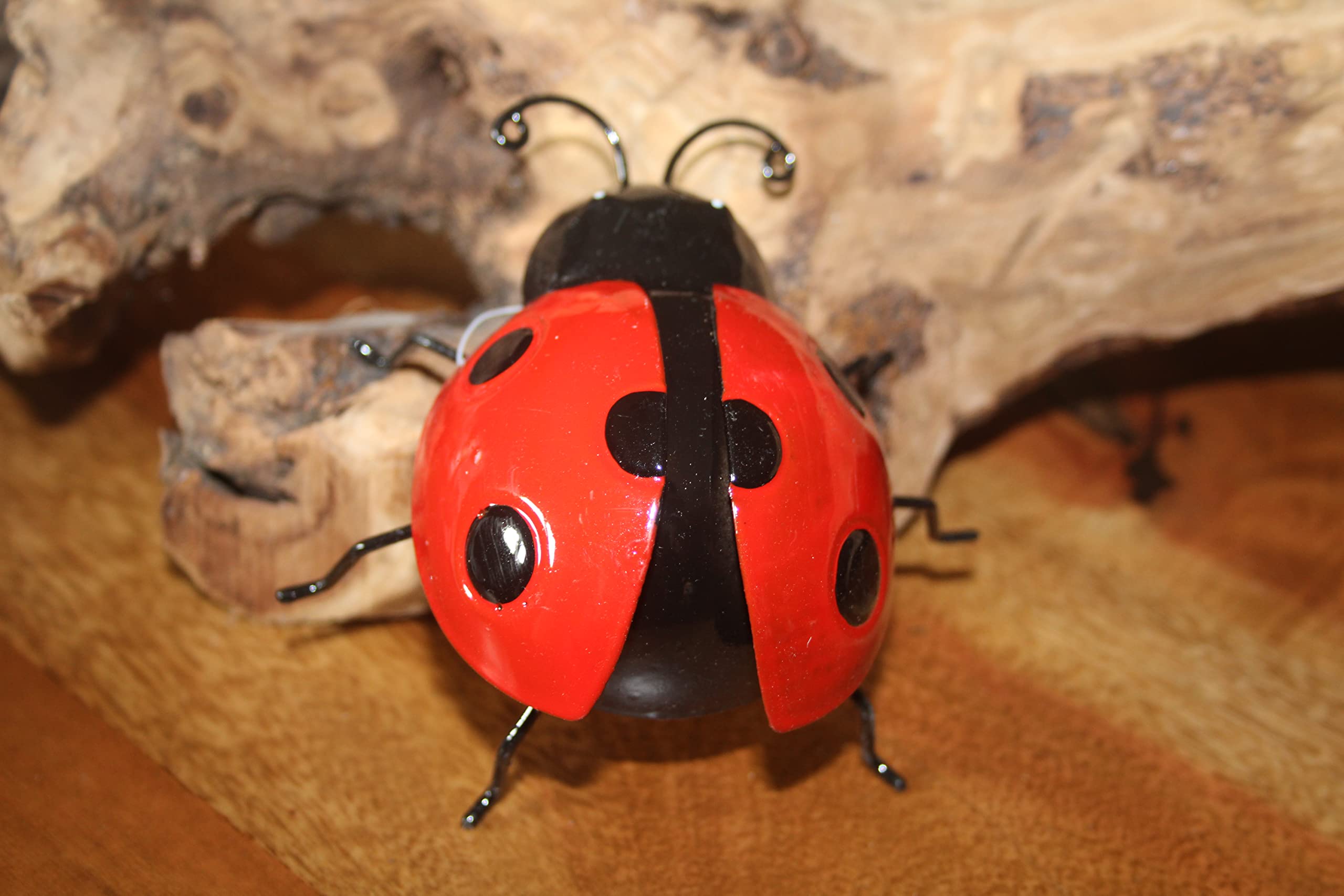 Coccinella Magnetica Dekohelden24 Per Frigorifero - Metallica Dipinta A Mano, 7x7x8cm, Decorazione - Foto 5