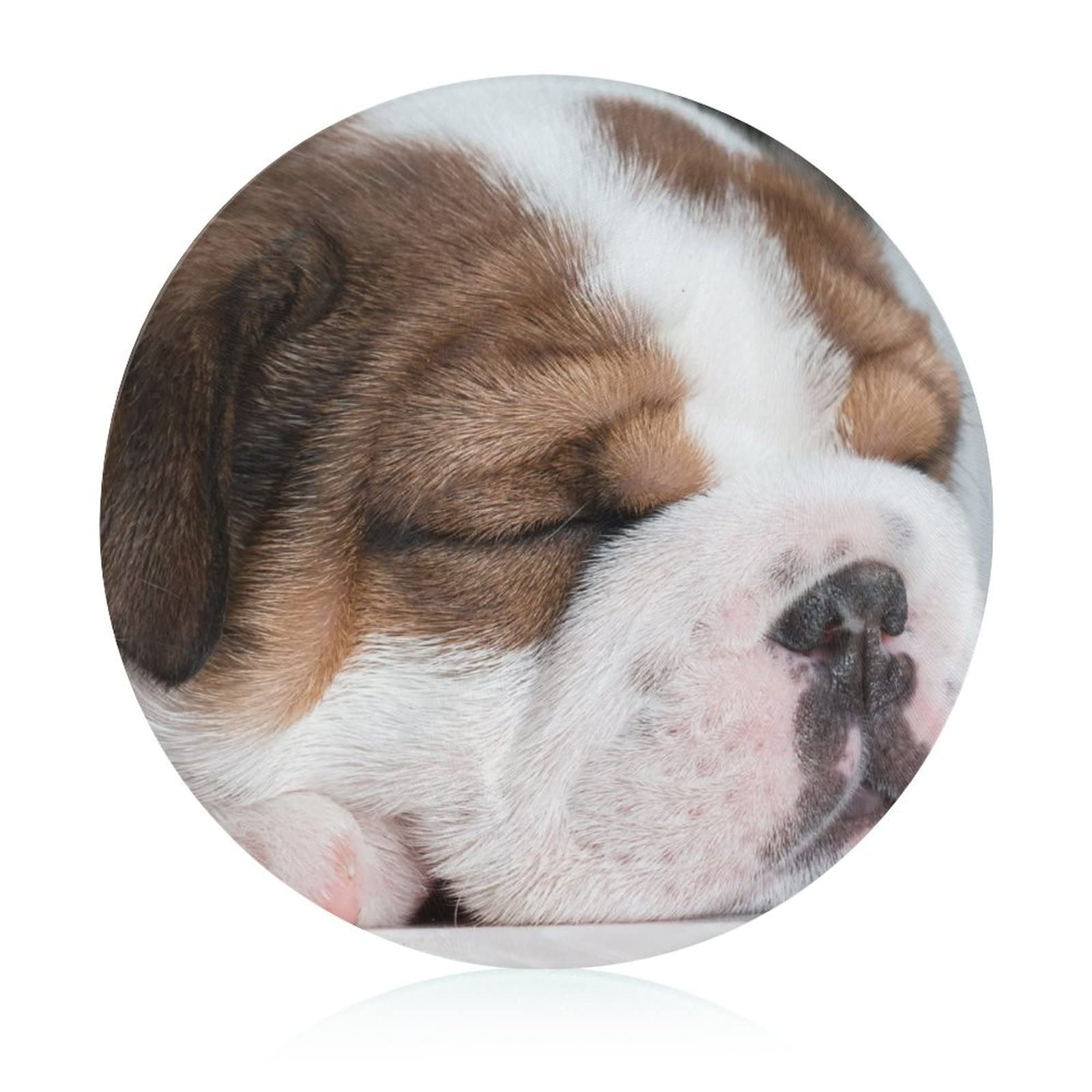 Plaque de cuisine en verre Chien Endormi anti-rayures et hygiénique