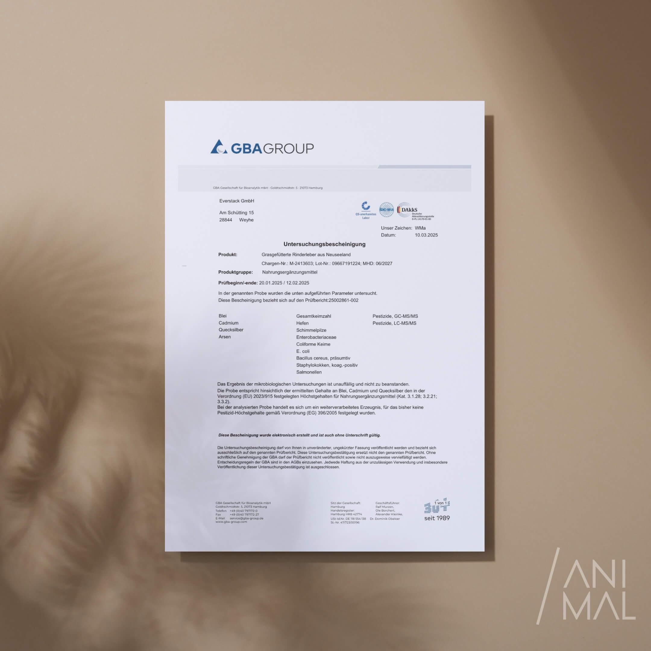 Animal Based Rinderleber [240 Kapseln] - Natürliches Eisen, Vitamin A, B12, Kupfer - Grass Fed Beef Liver - Weidequalität aus Neuseeland - Optimale Nährstoffaufnahme - Halal zertifizierte Rohstoffe