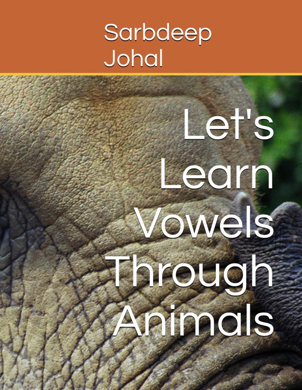 Let's Learn Vowels Through Animals: workbook in English and Punjabi (Baanibooks)