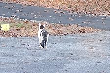 Review Image by Amazon Customer Amazon Customer