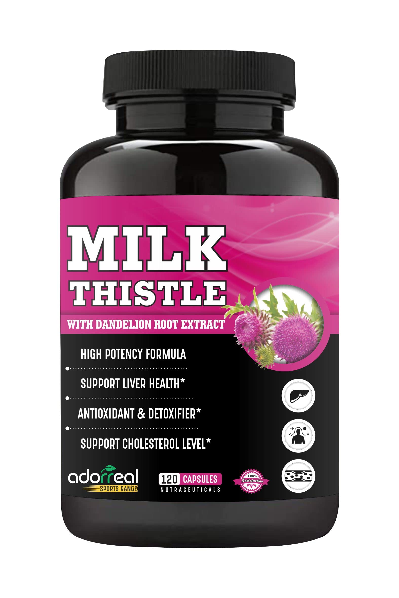 Adorreal Milk Thistle 120 capsules With Dandelion Root Extract Detox Supplement For Men And Women For Healthy Liver | Boost Metabolism And Maintain Cholesterol level (B08BLGWSV3) Amazon Price History, Amazon Price Tracker