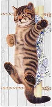 71uybg7XqEL._AC_UF350,