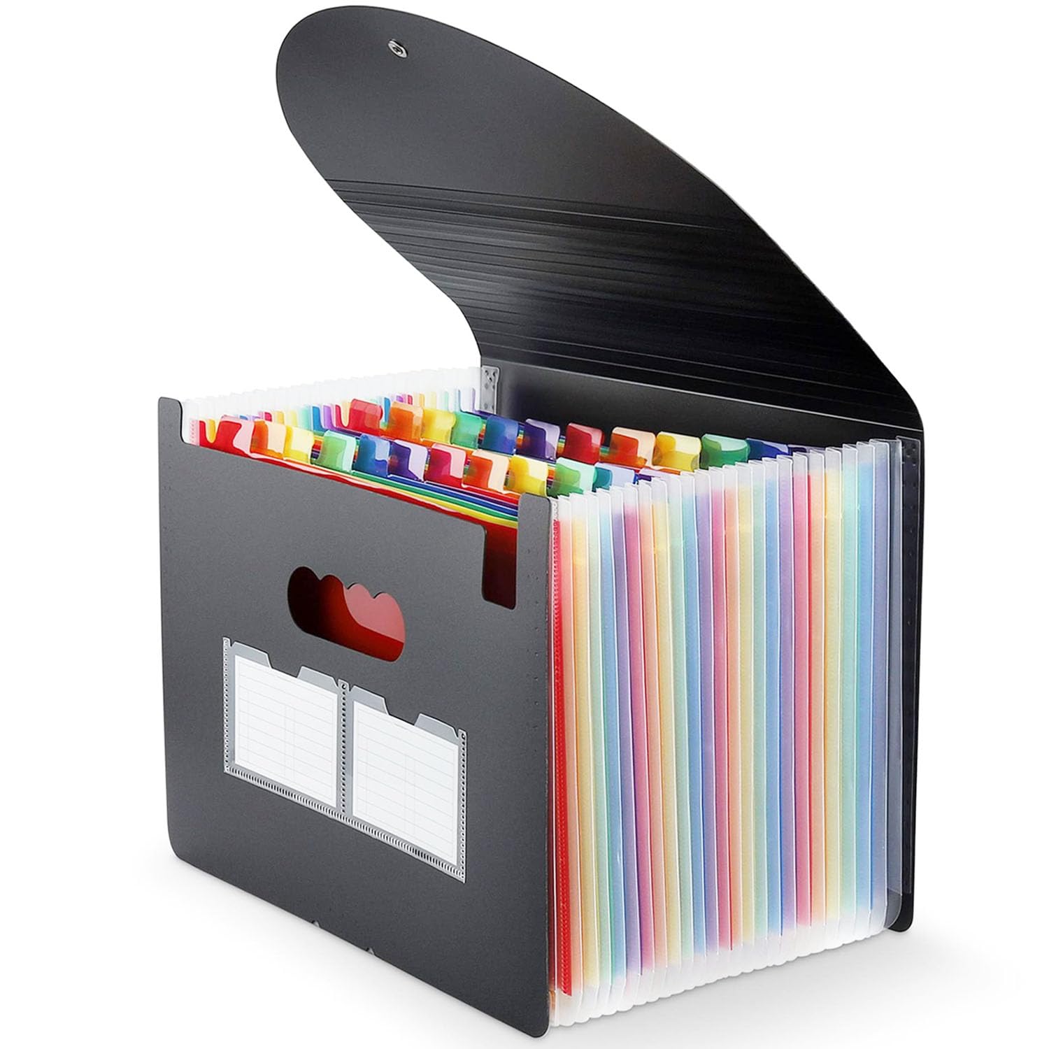 Expanding File Folder, A4 Accordion File Organiser with Rainbow Colour, Portable Document Filing Box for Bills, Receipts, Paperwork, Home Office School Storage (13)