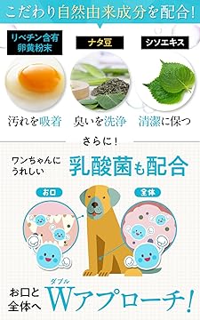 Amazon.co.jp: Dr. Dentalwan