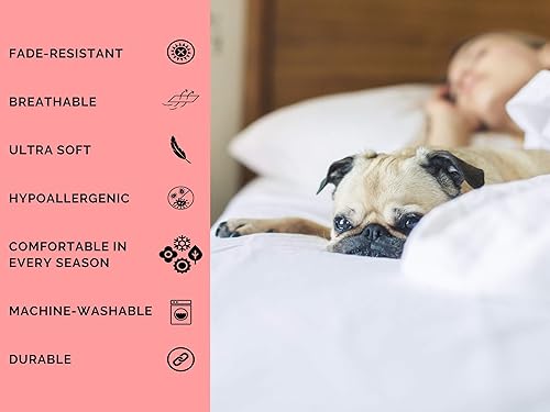 Miniatura 3 de Aspire Linen Juego de sábanas de 6 piezas 100% algodón egipcio de fibras extralargas de 1500 hilos, tamaño Queen que se adapta a bolsillos de hasta