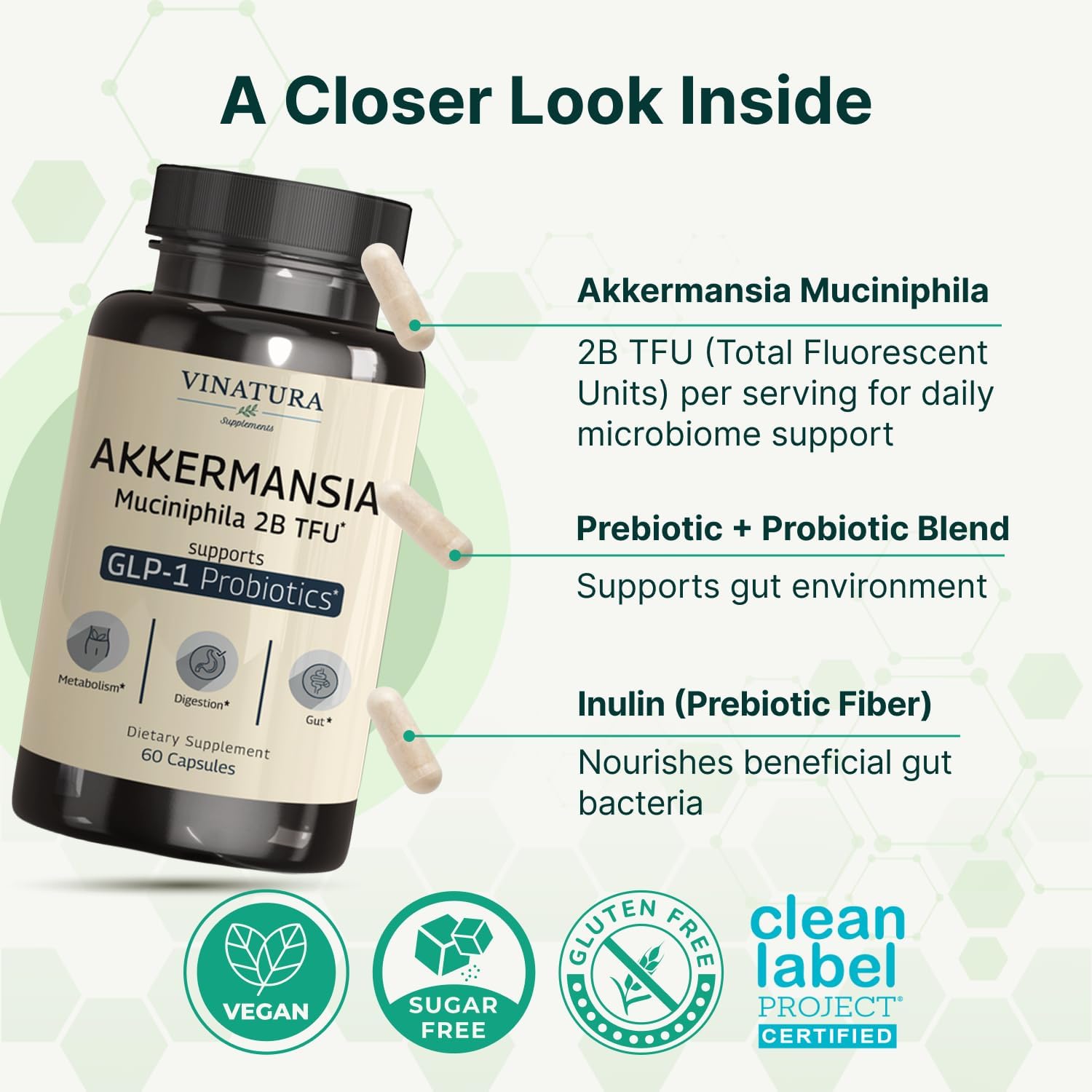 VINATURA Akkermansia Probiotic - Akkermansia Munciniphila Supplement, GLP-1 Supplement - 60 Capsules - Image 4