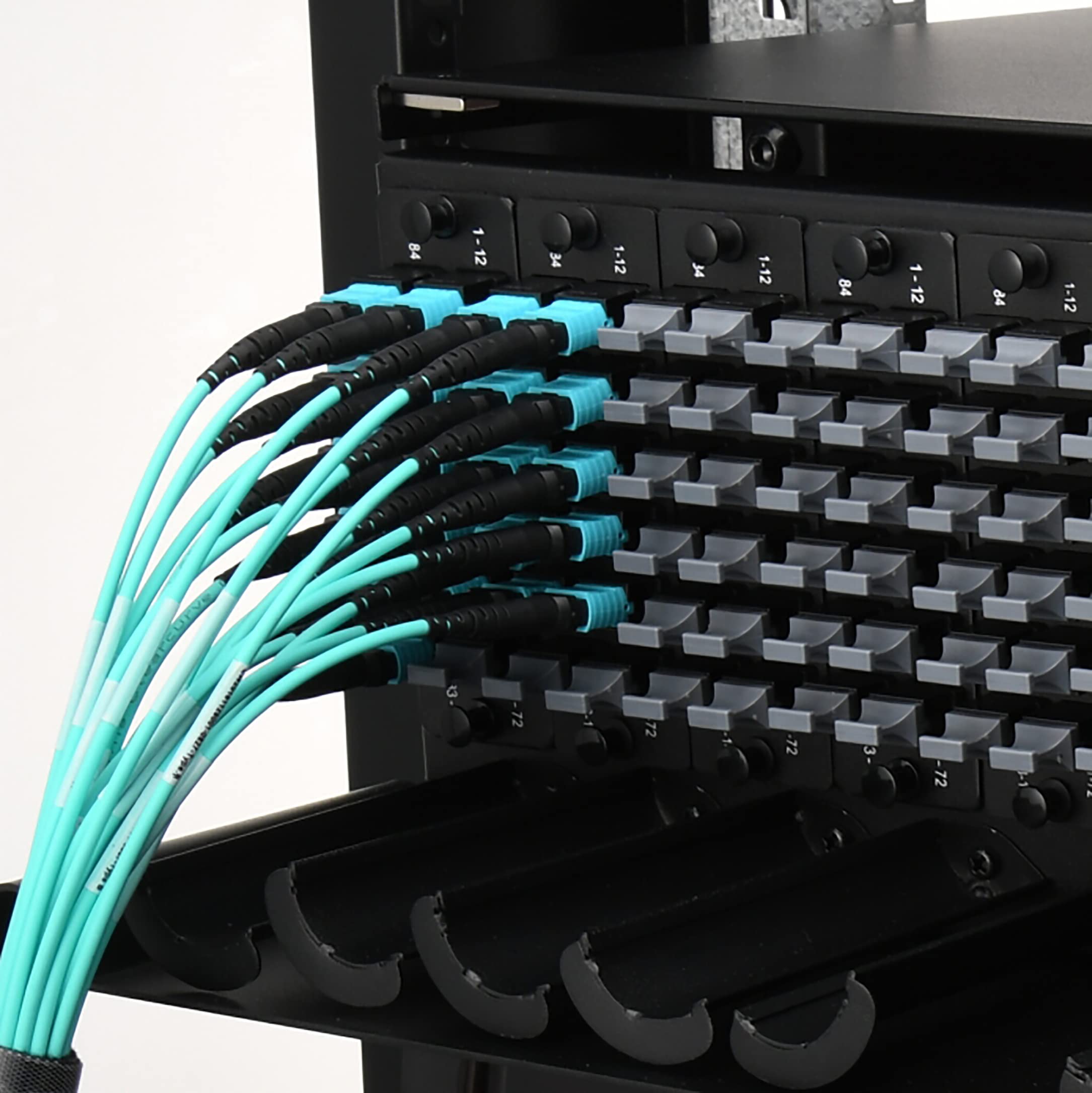 Cavo in fibra ottica MPO/MTP a MPO/MTP 12 fibre (7M)