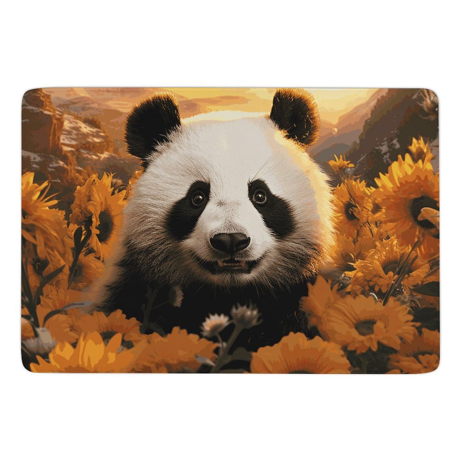 Tapis de bain super absorbant à séchage rapide pour sortir de la douche sans glisser