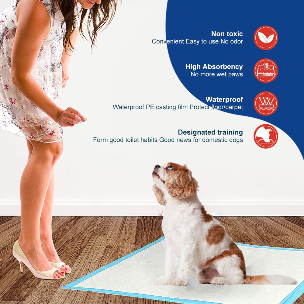 NEZO Almohadillas de entrenamiento premium para perros y cachorros, XXL de 36 x 46 pulgadas, 30 almohadillas para orina con 6 capas a prueba de fugas y súper absorbentes