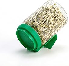 ridge Storage Boxes Freezer Storage Containers, Container for Kitchen Storage Set, Storage in Kitchen, Vegetable Storage, Draining Crisper Refrigerator Food Box (sprouts maker jar)