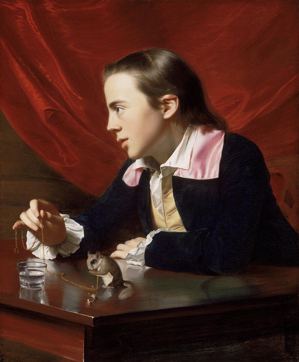 The Museum Outlet - John Singleton Copley - A Boy with a Flying Squirrel - Canvas Print Online Buy (24 X 32 Inch)