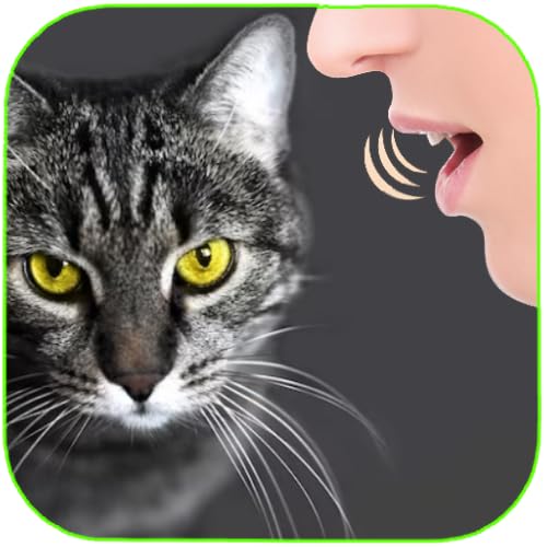 Human to Cat Translator App